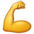 💪 biceps fléchi