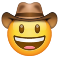 🤠 Face with Cowboy Hat in whatsapp