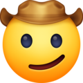 🤠 Face with Cowboy Hat in facebook
