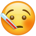 🤒 Face with Thermometer in whatsapp