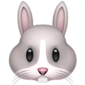 🐰 coniglietto di Pasqua