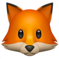 🦊 Fox