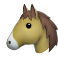 🐴🐎 Horse