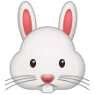 🐰 conejo de Pascua