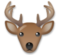 🦌 Reindeer