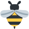 🐝 pszczoła