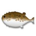 🐡 blowfish