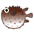 🐡 Blowfish in google