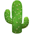 🌵 Kaktus