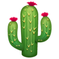🌵 Cactus in whatsapp
