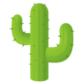 🌵 Cactus