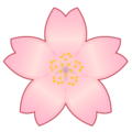 🌸 fiore di ciliegio