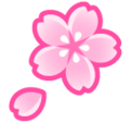 🌸 fiore di ciliegio