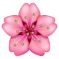 🌸 Pink Flower in whatsapp