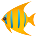 🐠 Clownfish