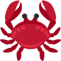 🦀 Crabe