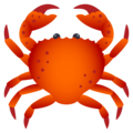 🦀 Crabe