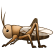 🦗 Grasshopper in samsung