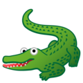 🐊 Alligator in google