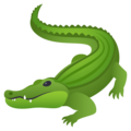 🐊 crocodile
