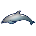 🐬 delfino