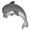 🐬 delfín