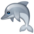 🐬 Dolphin in whatsapp