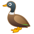 🦆 Duck in google