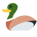 🦆 Duck in twitter