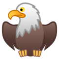 🦅 Eagle in google