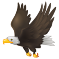 🦅 águila