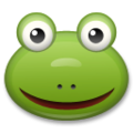 🐸 żaba