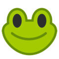 🐸 żaba