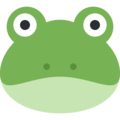 🐸 Frog in twitter
