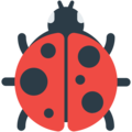 🐞 Ladybug