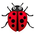 🐞 Ladybug in google