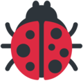 🐞 Ladybug