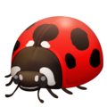 🐞 Ladybug in facebook