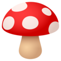 🍄 Mushroom