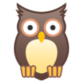 🦉 Owl in google