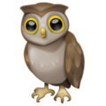 🦉 Owl in whatsapp