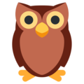 🦉 Owl in twitter