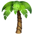 🌴 drzewo palmowe