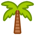 🌴 palmier