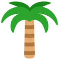 🌴 drzewo palmowe