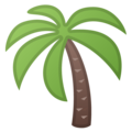 🌴 Palm Tree in google