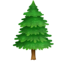 🌲 Pine Tree in facebook