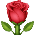🌹 Red Rose in facebook