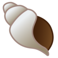 🐚 Seashell in google