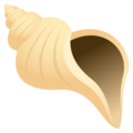 🐚 Seashell